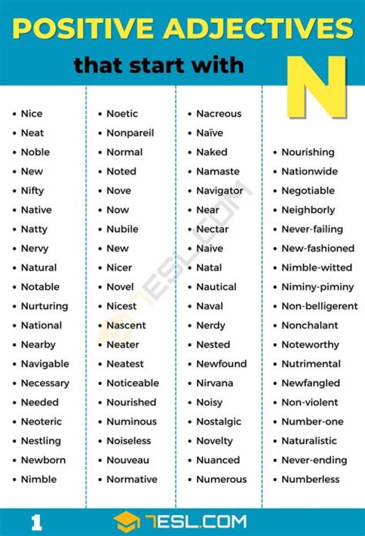 Adjectives That Start With N