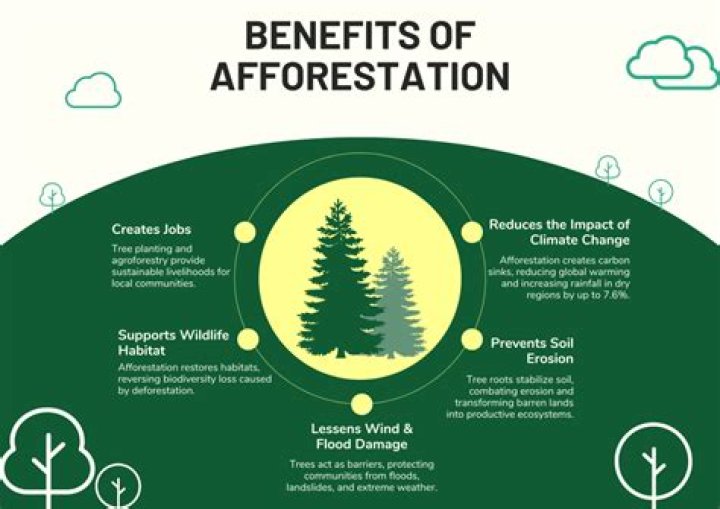 Afforestation - How To Discuss