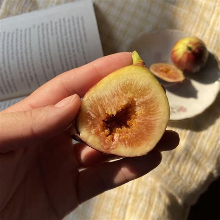 Are all figs safe to eat