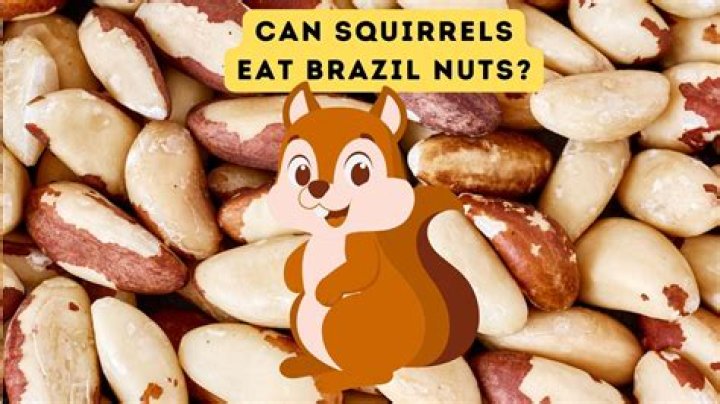 Are all nuts bad for gout