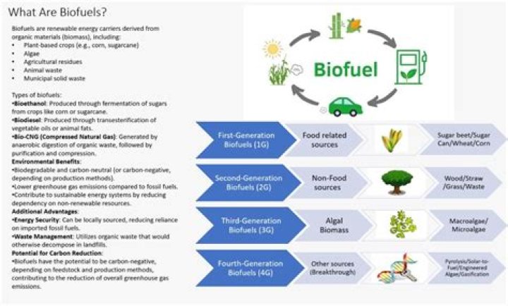 Are biofuels a better alternative to fossil fuels