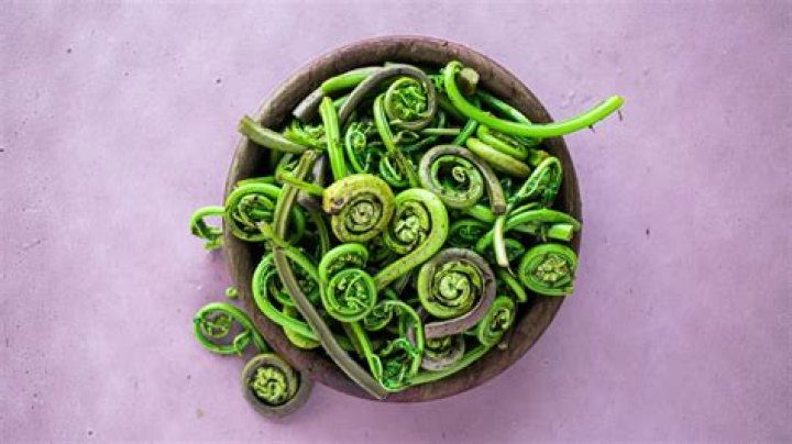 Are Fiddleheads good for you