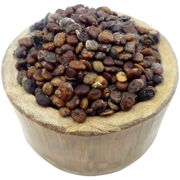 Are kudzu seeds edible