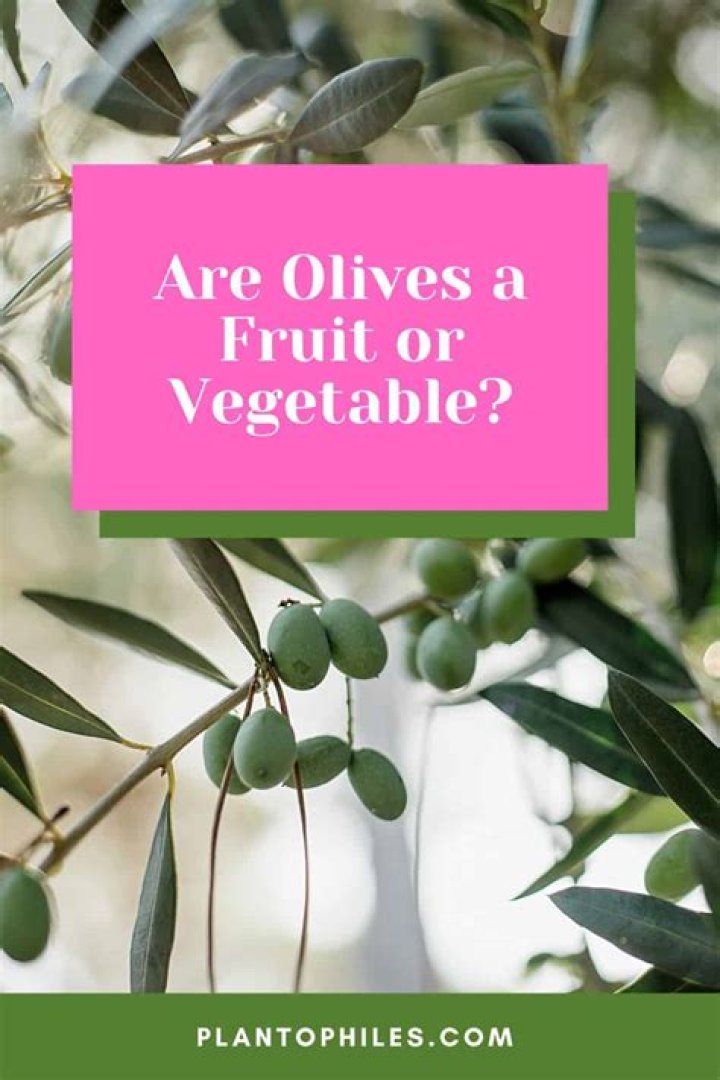 Are Olives A Fruit - How To Discuss