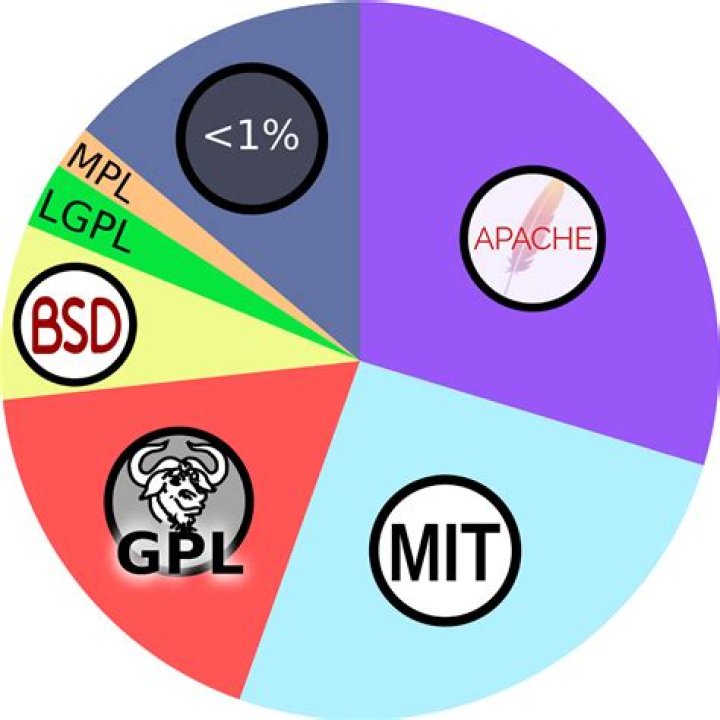 Are Oracle licenses perpetual