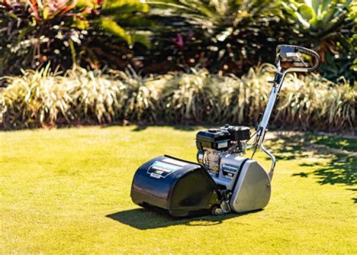 Are push cylinder mowers any good