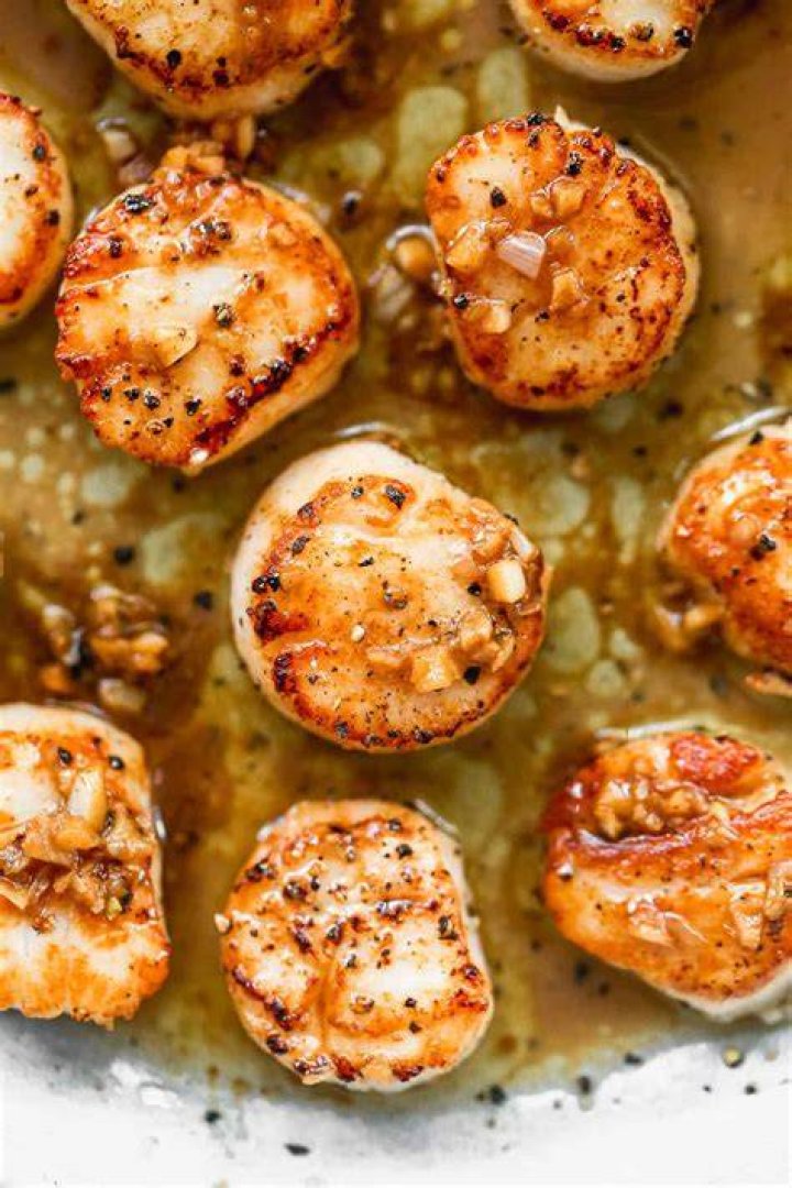Are Scallops A Healthy Fish