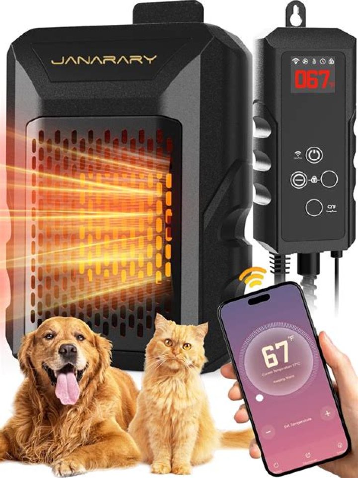 Are space heaters safe for dogs
