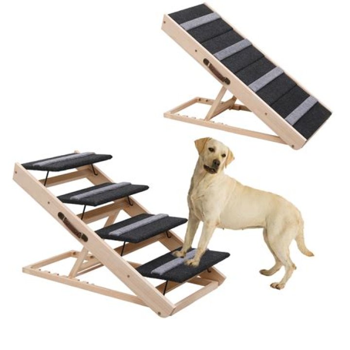 Are steps or ramps better for dogs