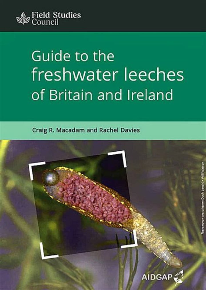 Are there leeches in freshwater