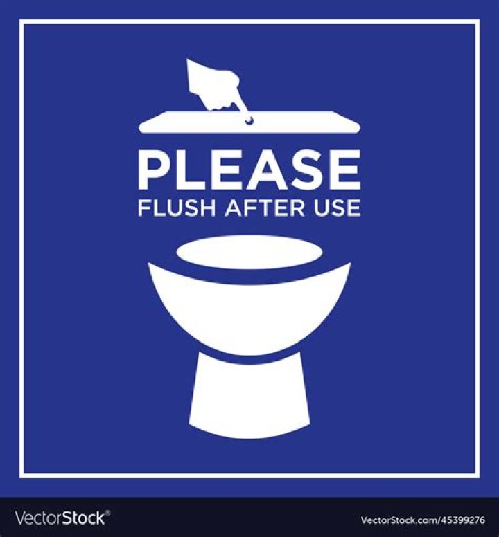 Are toilets supposed to flush twice?