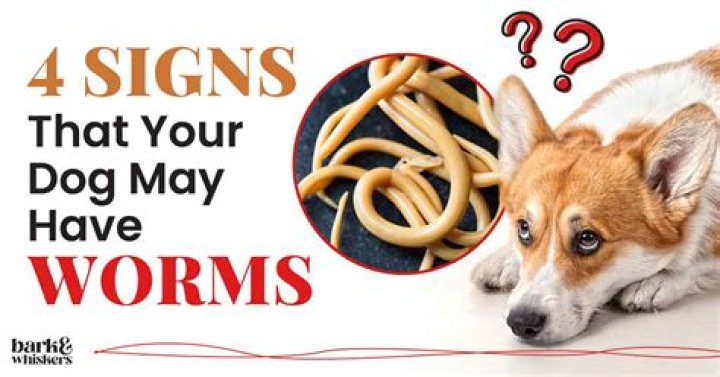Are Worms Used In Hot Dogs