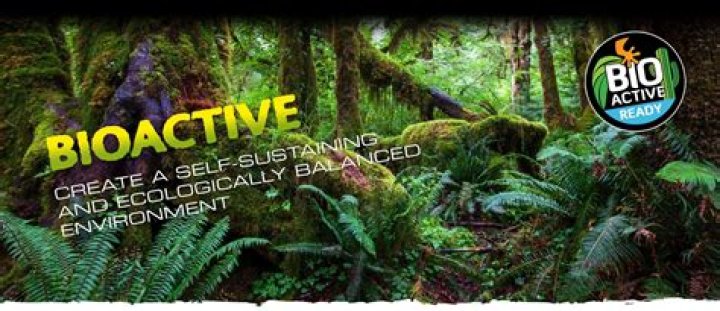 Bioactive Liver Rejuvenix - How To Discuss