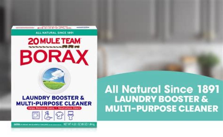 Borax cleaner - How To Discuss