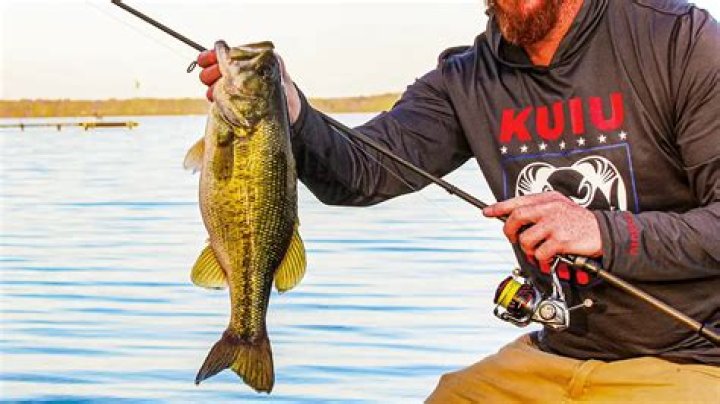 Bow Fishing Uk - How To Discuss