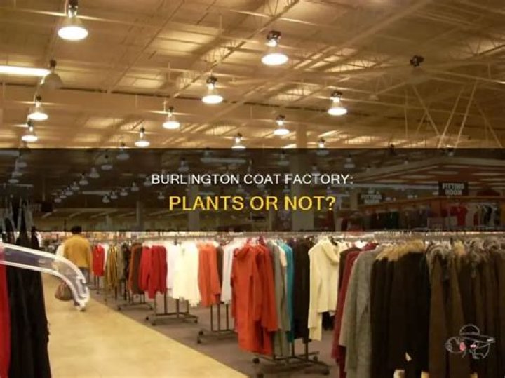 Burlington Coat Factory Brands - How To Discuss