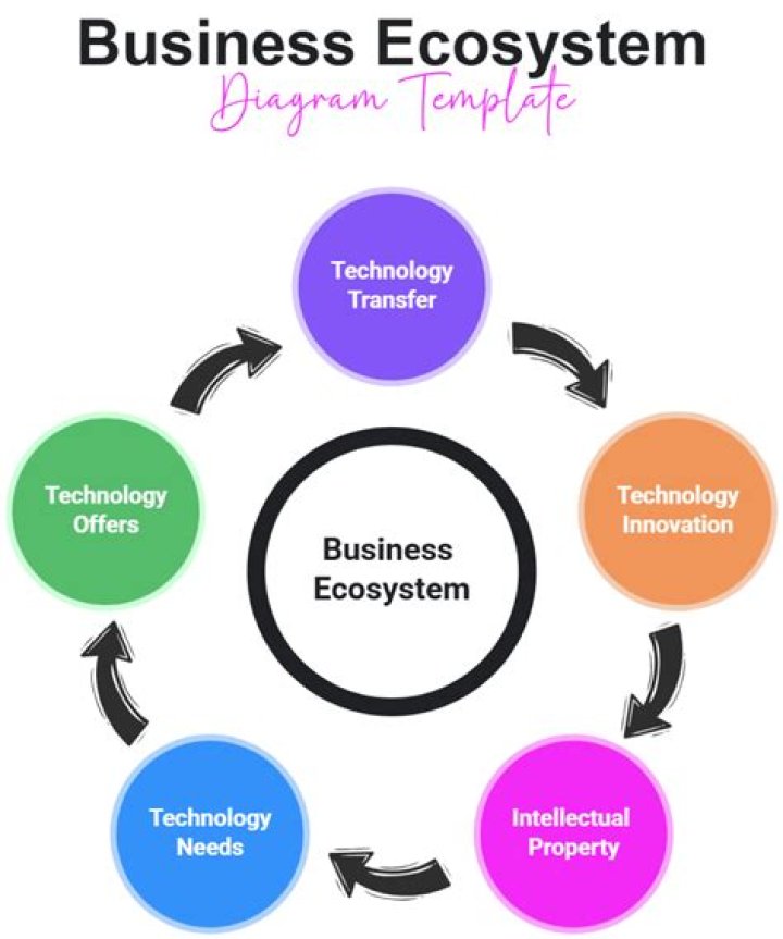 Business ecosystem - How To Discuss