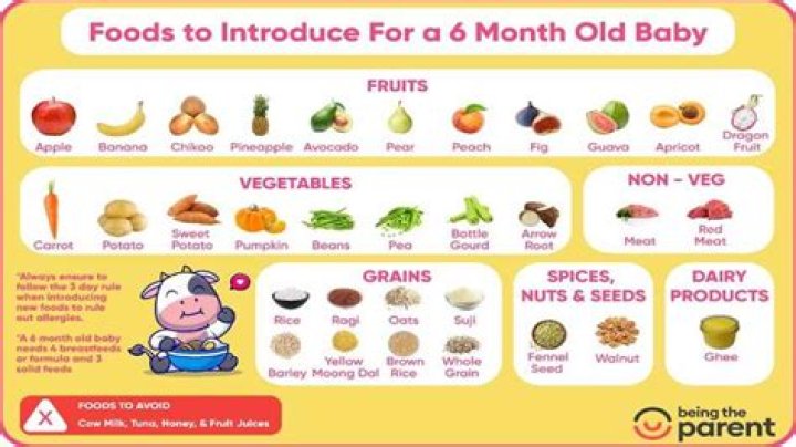 Can 6 month old baby eat carrots