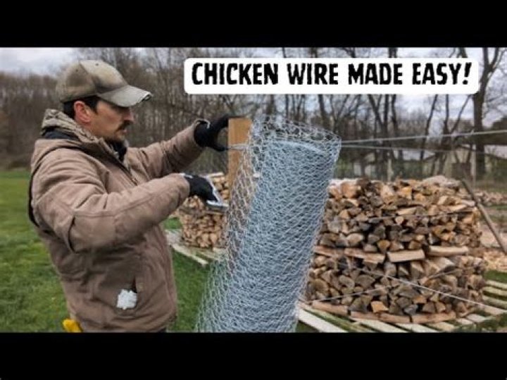 Can birds get through chicken wire