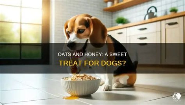 Can dogs have oats and honey