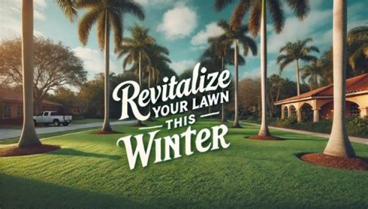 Can I lay sod in the winter