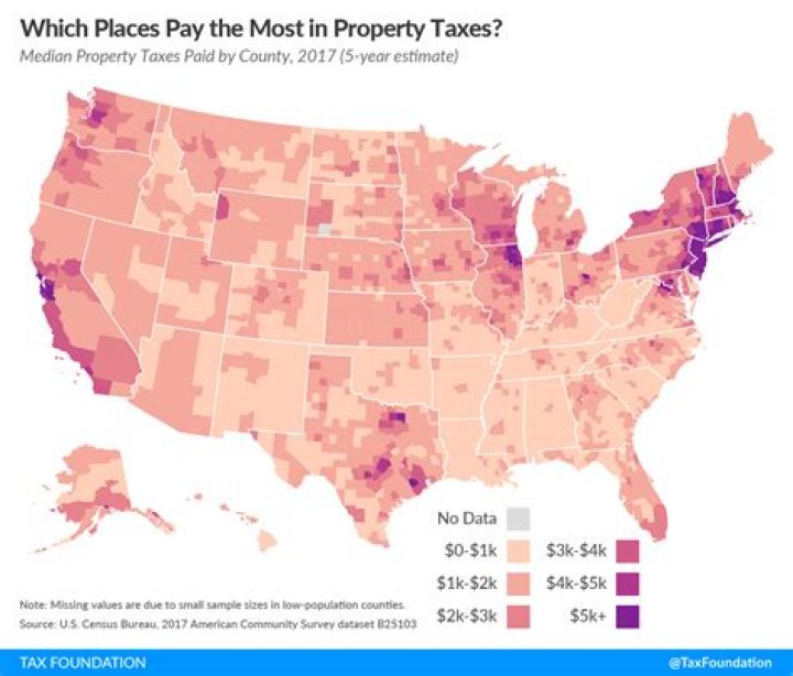 Can someone take your property by paying the taxes in Louisiana