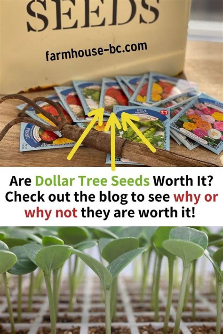 Can you buy non GMO seeds