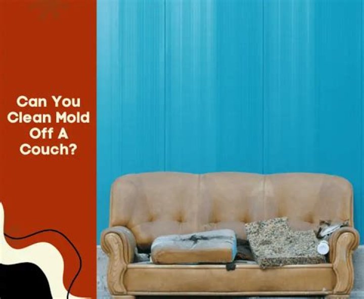 Can you clean mold off a couch