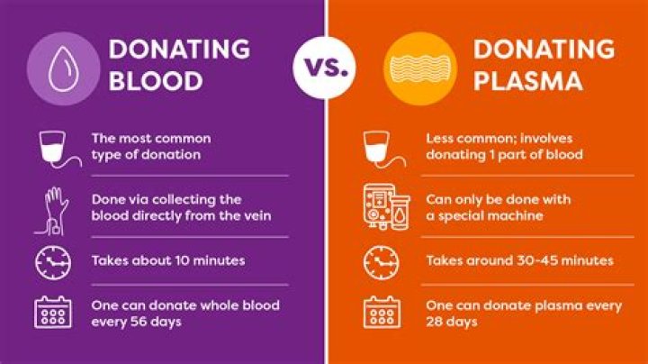 Can You Drink The Night Before Donating Plasma