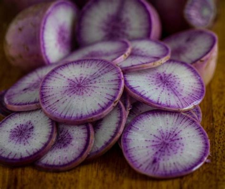 Can you eat cover crop radishes