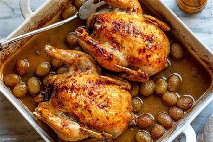 Can You Give Dogs Cornish Game Hens