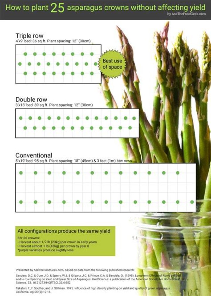 Can you grow asparagus in containers