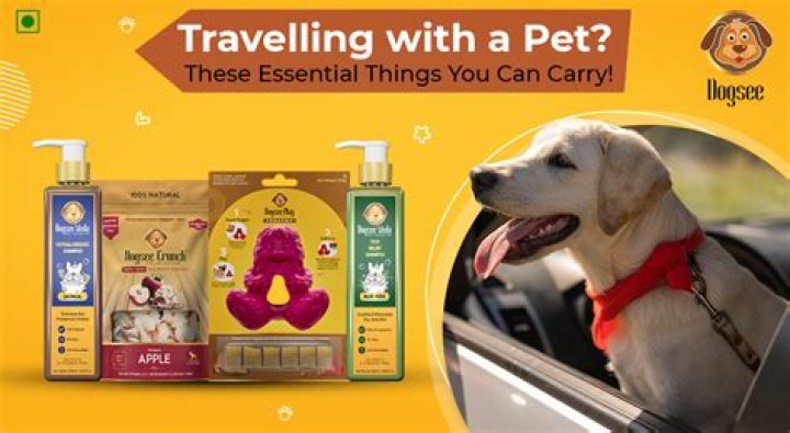 Can you have a pet camel in Australia