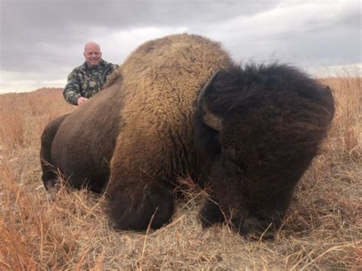 Can you hunt buffalo in California