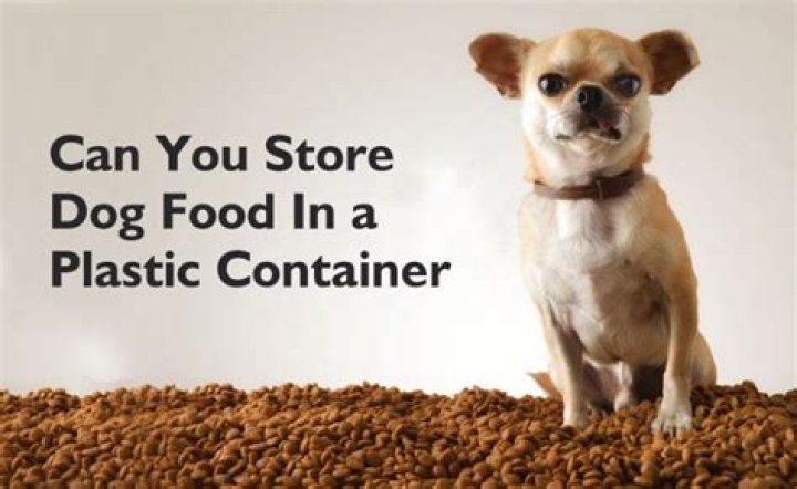 Can you store dog food in a plastic container