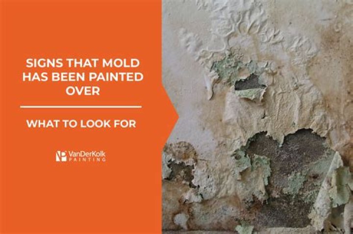 Can you use moldy paint