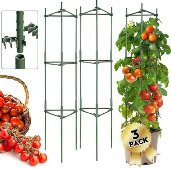 Can you use tomato cage for cucumbers