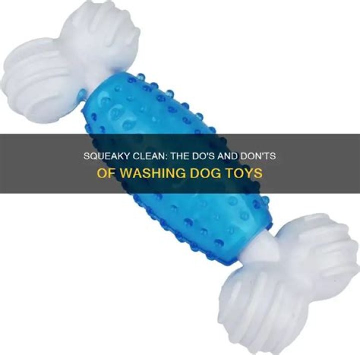 Can you wash dog toys with squeakers