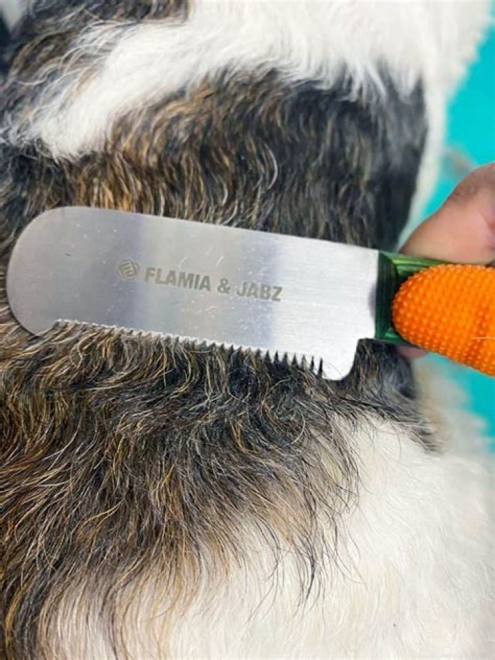 Carding Tool For Dogs - How To Discuss