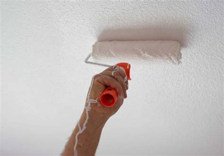 Ceiling paint roller - How To Discuss