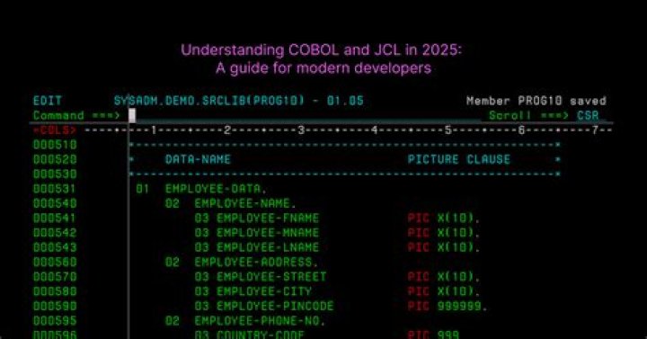 Cobol language - How To Discuss