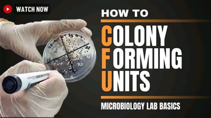 Coliform count - How To Discuss