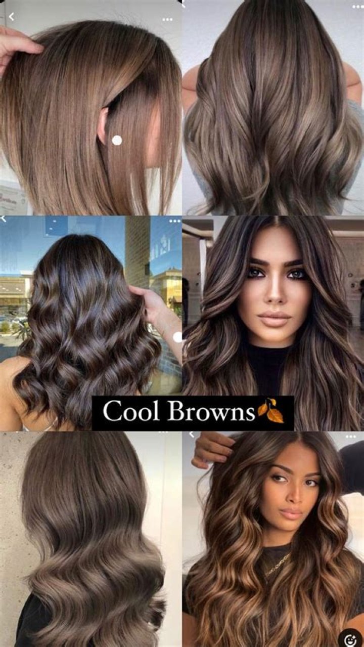 Cool brown hair color - How To Discuss