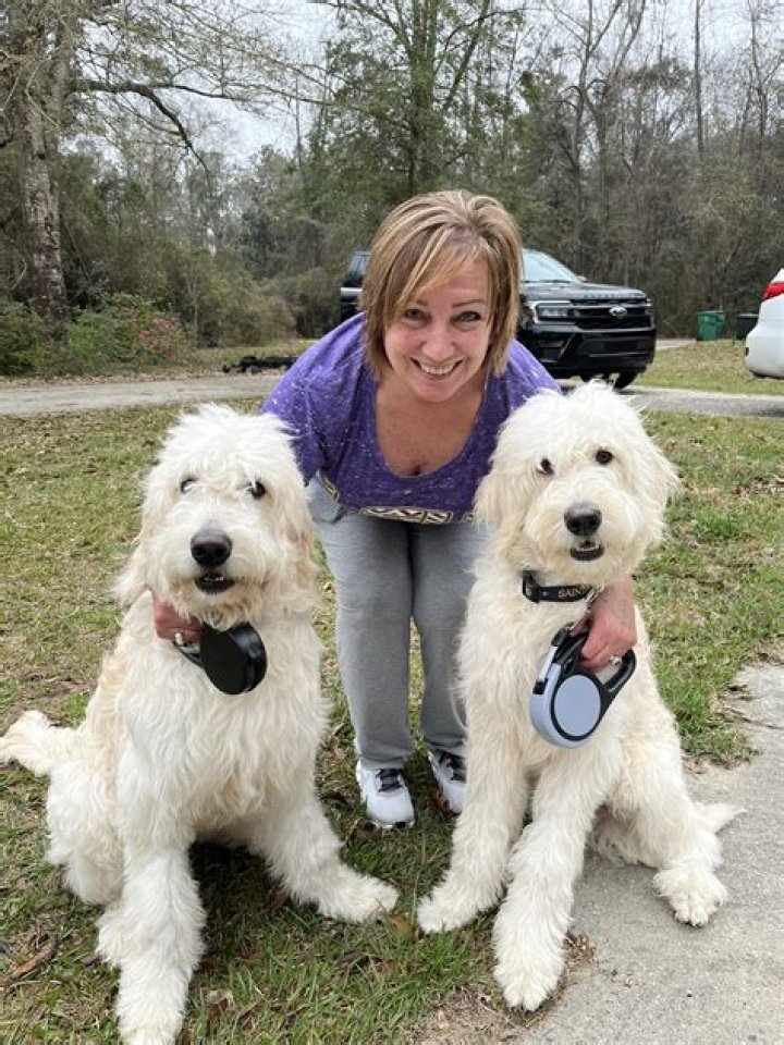 Creole Poodle Rescue - How To Discuss