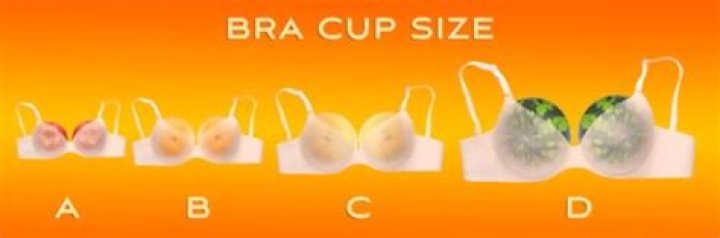 D Cup Size - How To Discuss