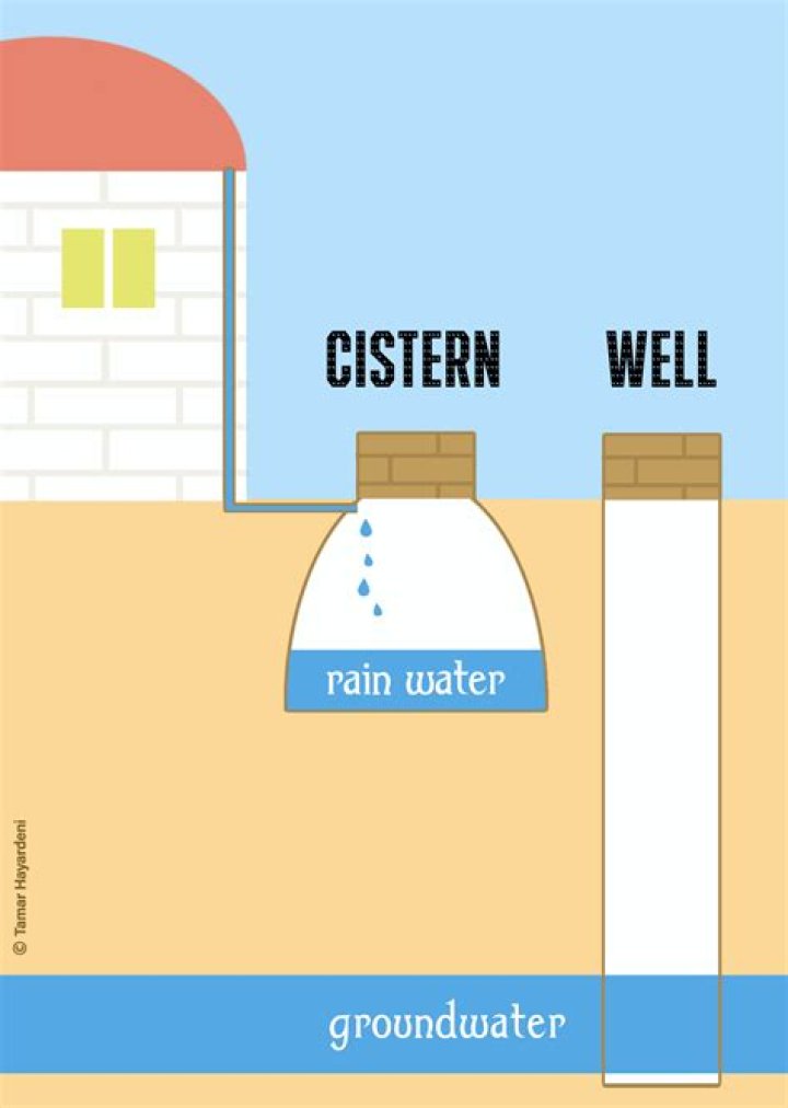 Define Cistern - How To Discuss