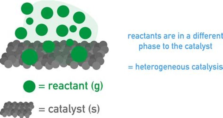 Do catalysts slow down the rate of reactions