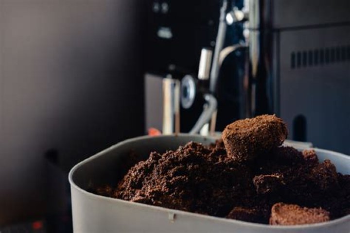 Do coffee grounds have phosphorus