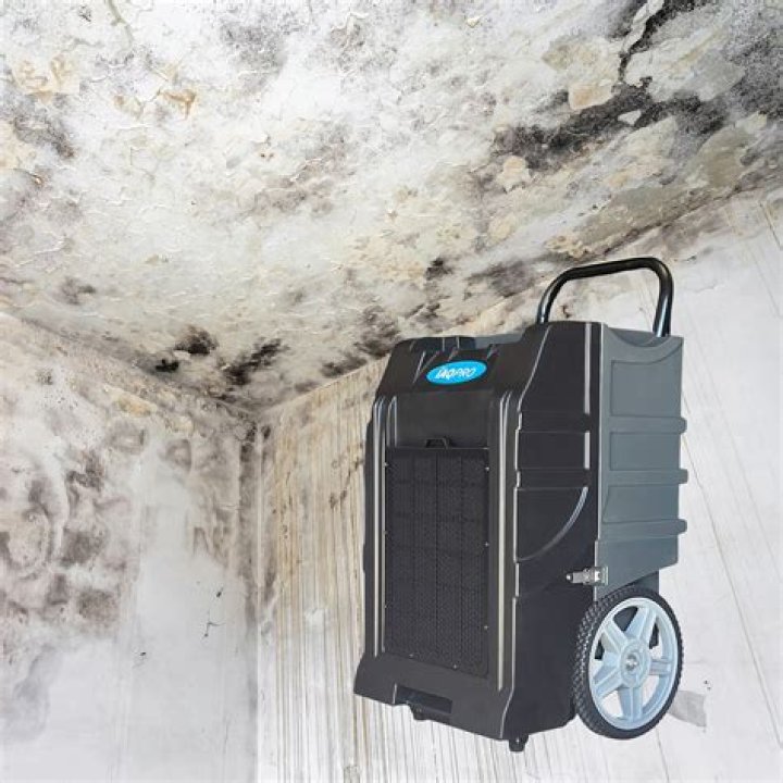 Do Dehumidifiers help with damp