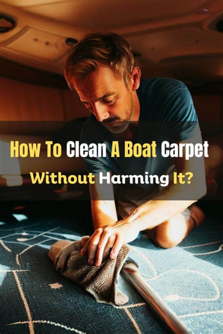 Do it yourself carpet cleaning tips